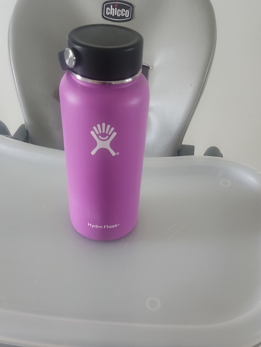 Hydro Flask Purple Insulated Water Bottle with Black Cap